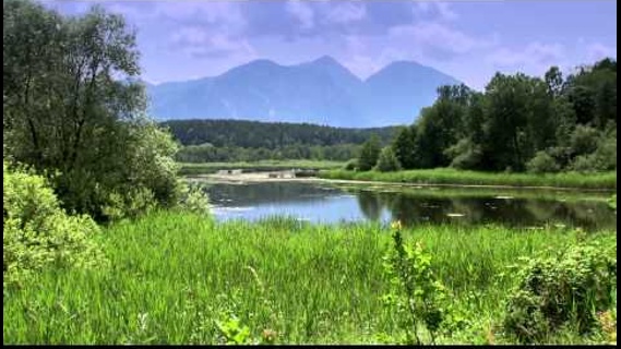 Der Klopeiner See