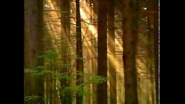 St. Englmar - mein Bayerischer Wald