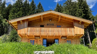 Unvergleichliche Bursch´n Alm - Außergewöhnlicher Zweitwohnsitz in Hüttau im Pongau