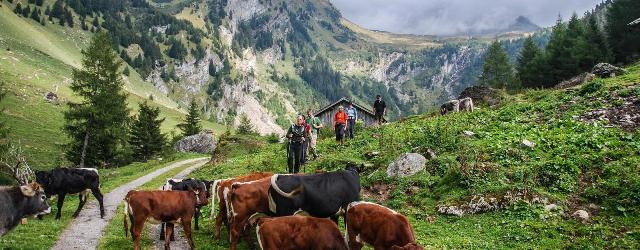 wipptal wandern