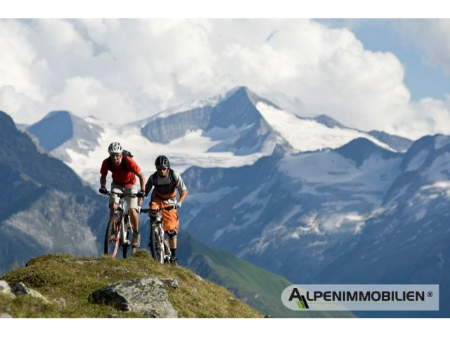 p1014-chalets-neukirchen-sommer