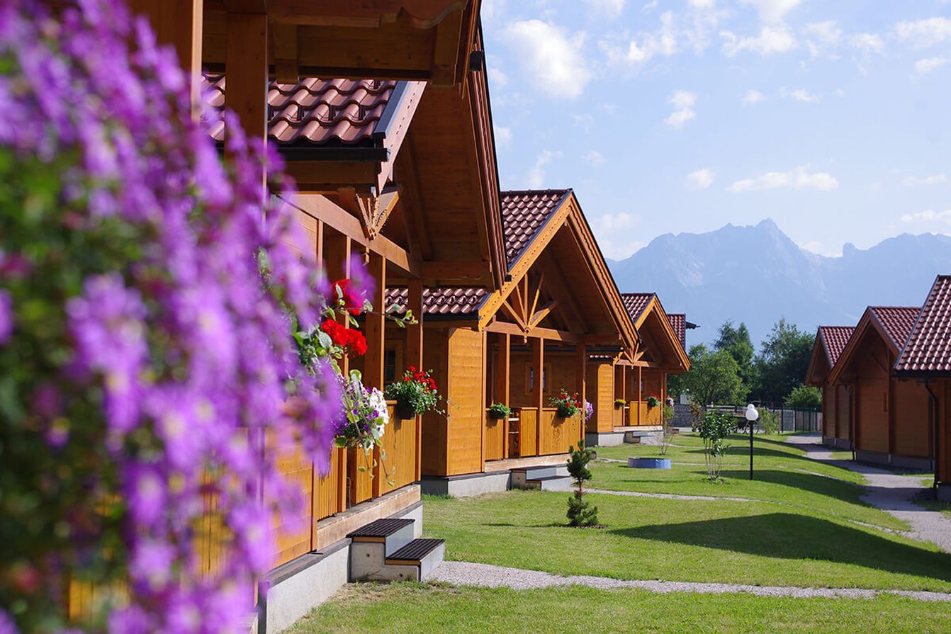 p1110-ferienblockhauser-zell-am-see