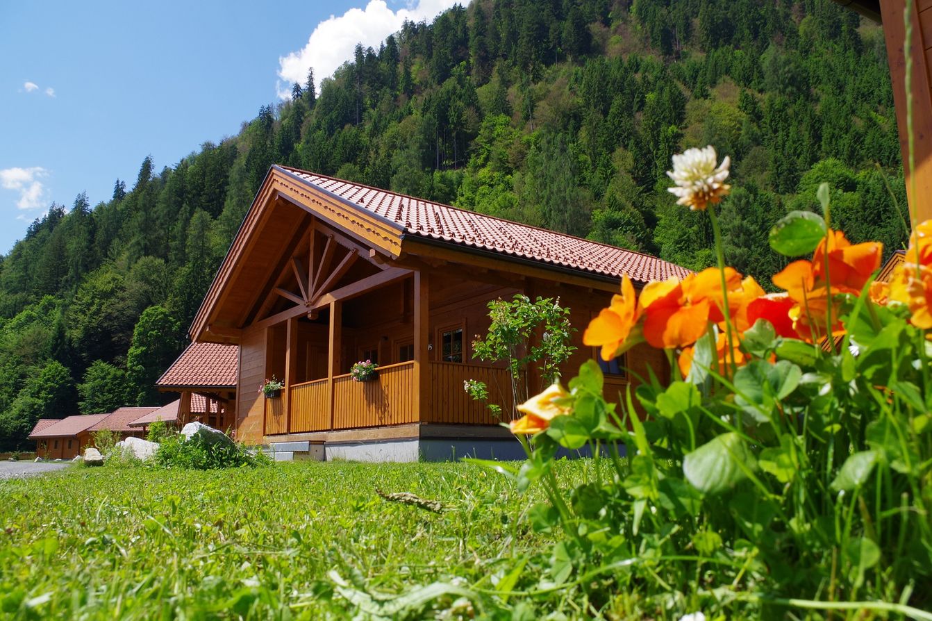 p1110-ferienblockhauser-zell-am-see