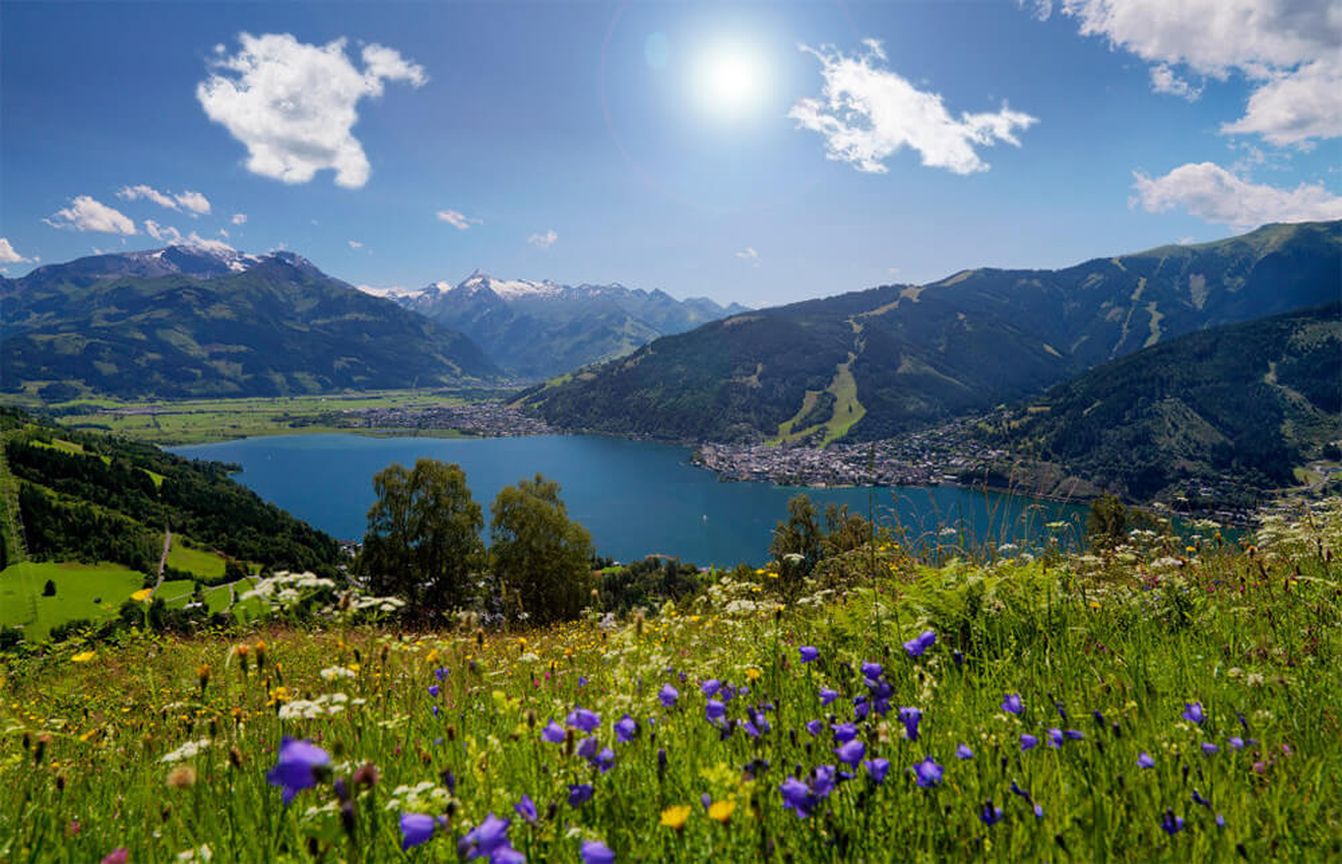 p1110-ferienblockhauser-zell-am-see
