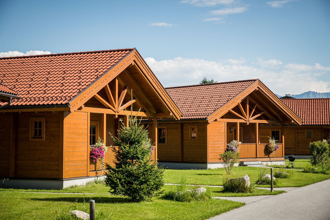 p1110-ferienblockhauser-zell-am-see