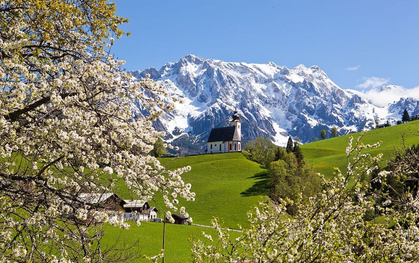 p1120-wildbach-lodge-dienten