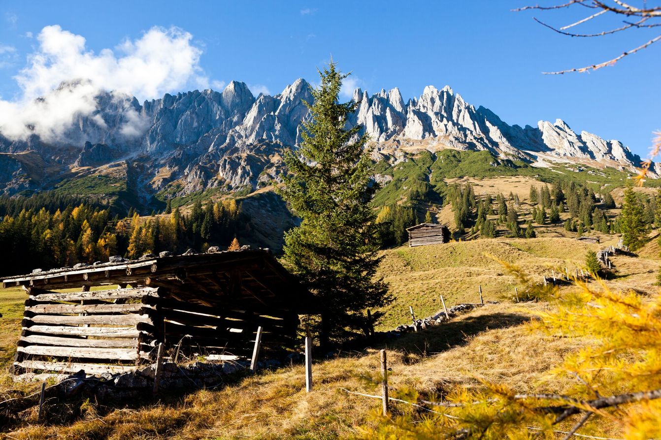 p1120-wildbach-lodge-dienten