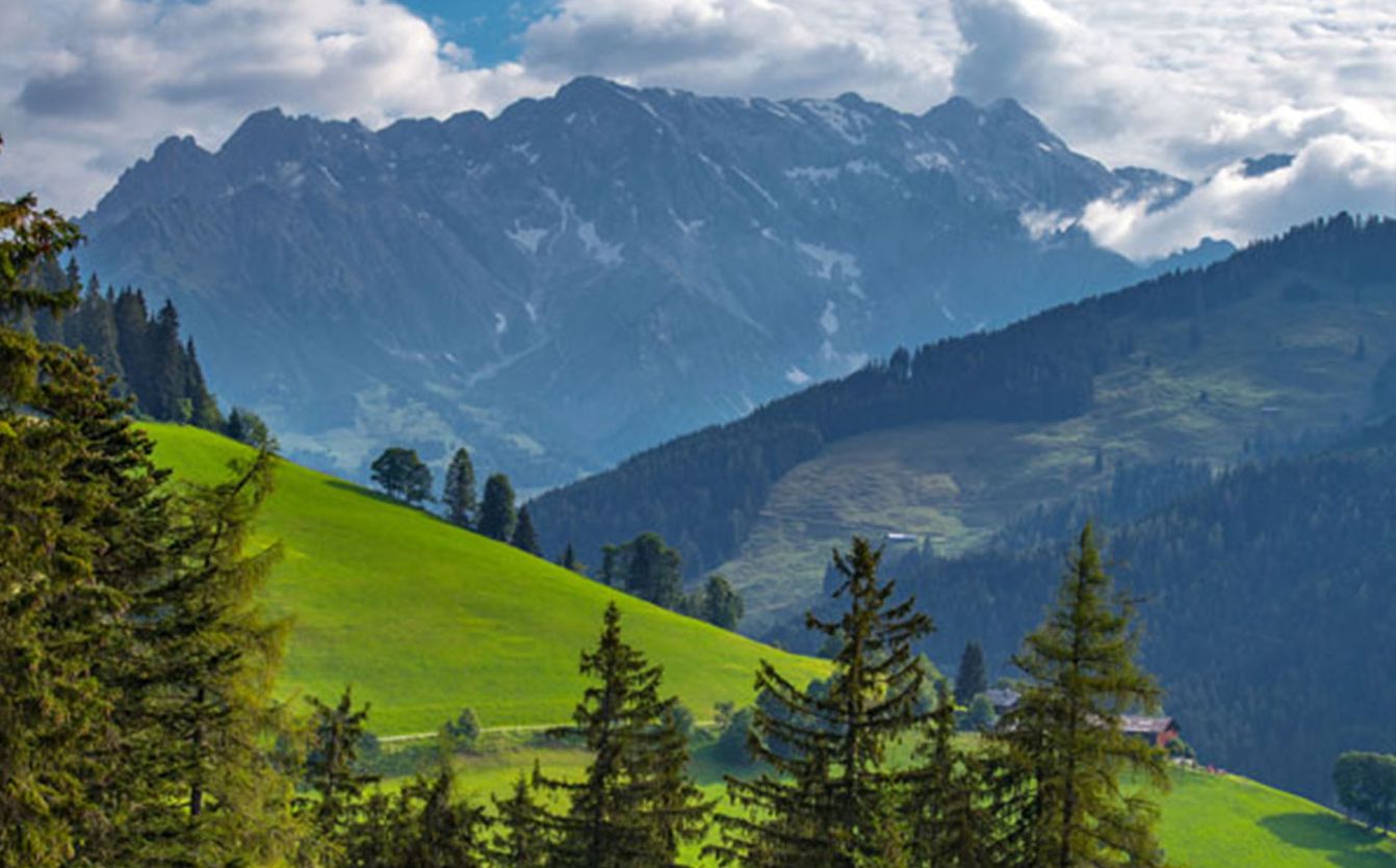 p1120-wildbach-lodge-dienten