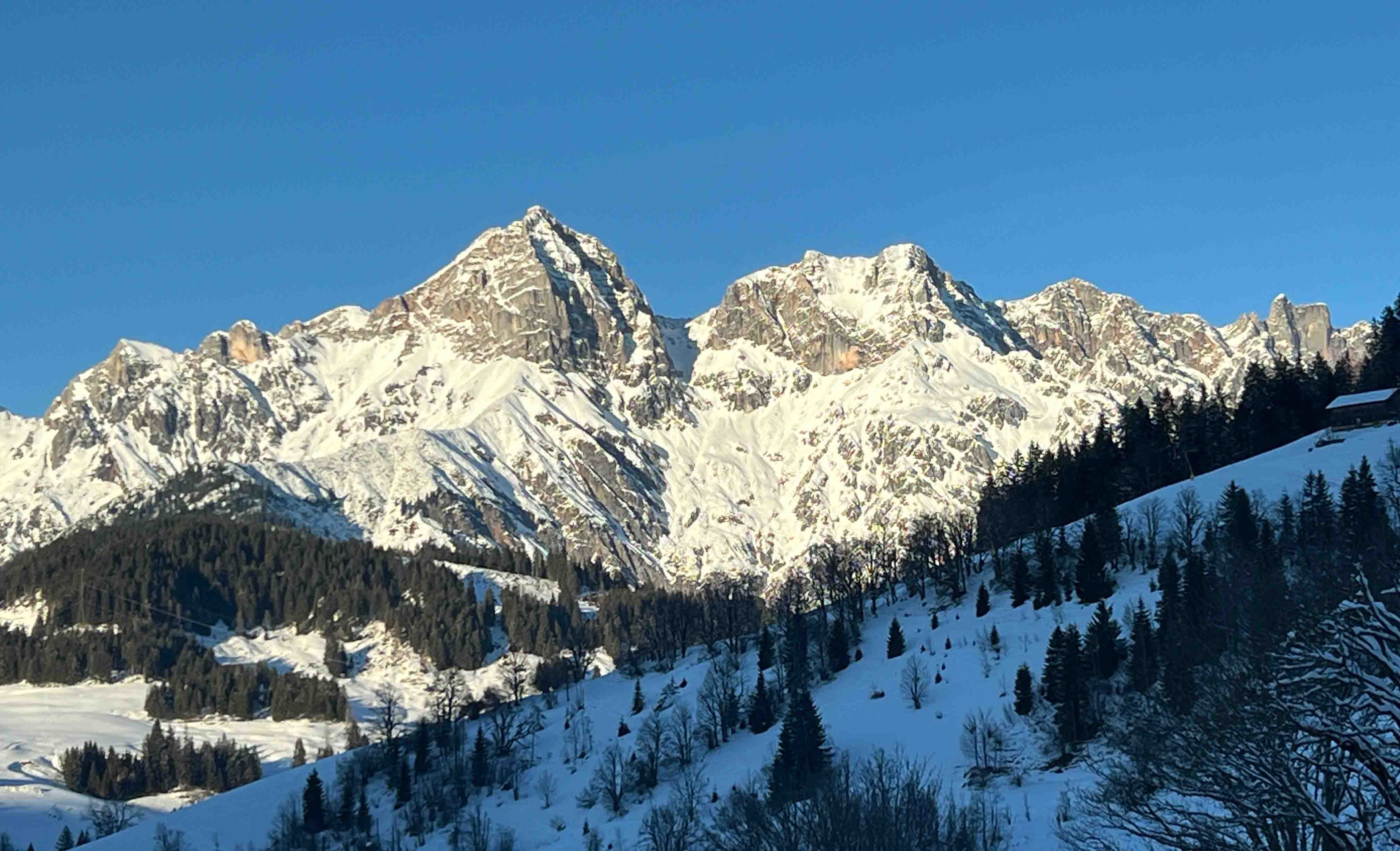 Ausblick